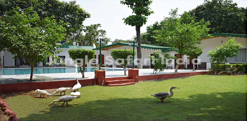 Corbett Paradiso Resort